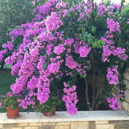 Vera Bed & Breakfast