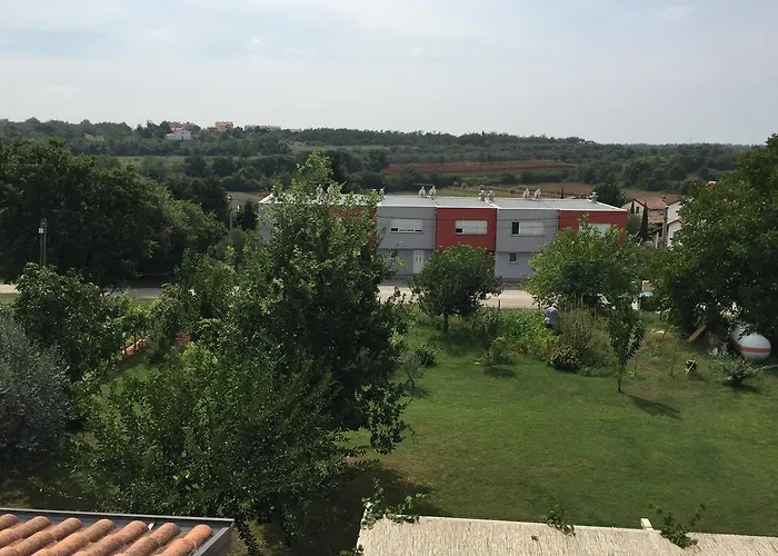 Vera 3*