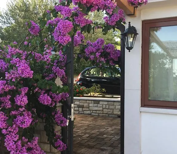 Vera Oda ve Kahvaltı