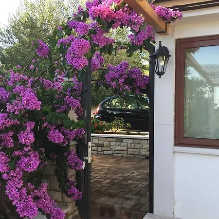 Vera Bed and Breakfast